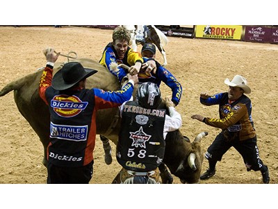 PBR to bring Ultimate Freestyle Bullfighting to PBR Finals Week -  Professional Bull Riders