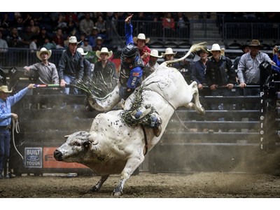 Free poker tournaments Free poker tournaments