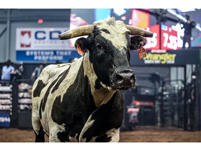 Flashback Friday – Canada’s Finest Ready to Ride with the Return of ...