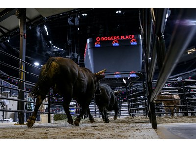 PBR Canada to Host Outdoor Bull Riding Exhibition at Rogers Place in ...