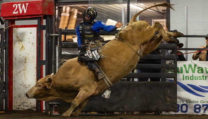 Coy Robbins Stays Hot as Rose City Nears