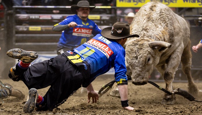 Morning Line – Medicine Hat Round 1